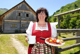 Brettljause auf der Zaunerhütte